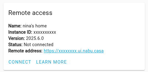 Screenshot of the remote access section with the Connect button.